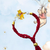 Winnie the Pooh Kids Thread Rakhi